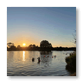 Alderford Lake
